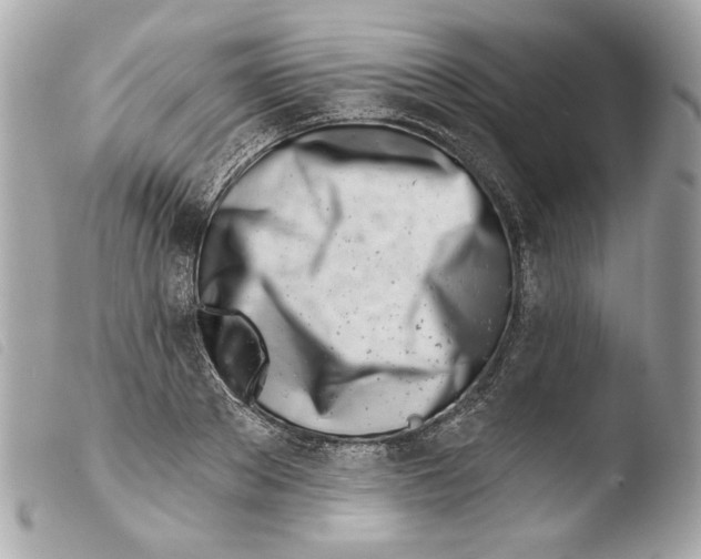 X0000103490889200810101020