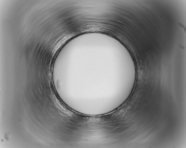 X0000103490890200810101020