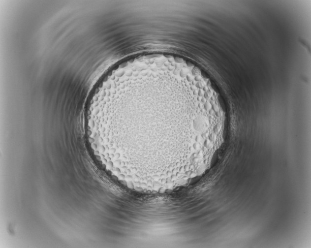 X0000103490891200810101020