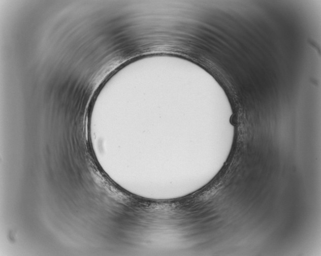 X0000103490892200810101020