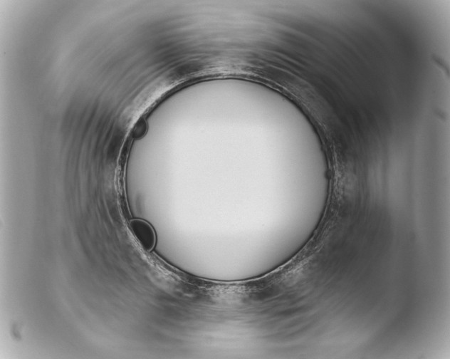 X0000103490893200810101020