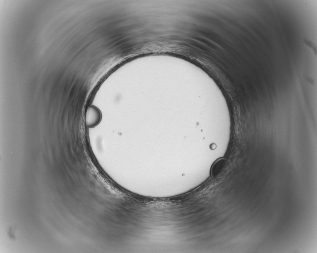 X0000103490894200810101019