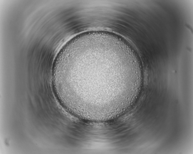 X0000103490895200810101019
