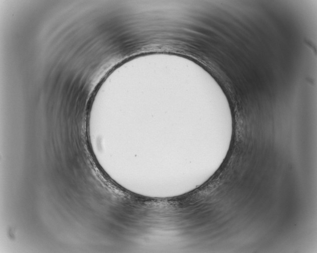X0000103490896200810101019