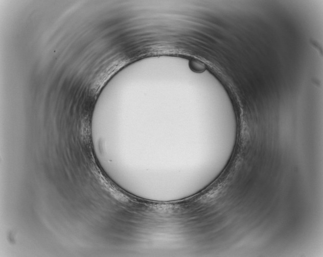 X0000103490897200810101019