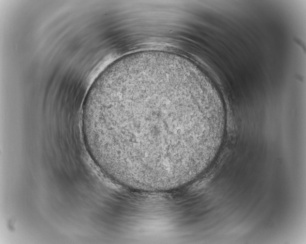 X0000103490899200810101019