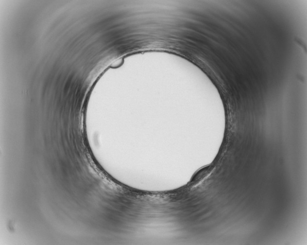 X0000103490900200810101019