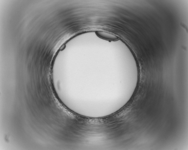 X0000103490901200810101019