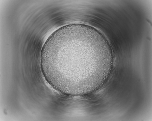 X0000103490903200810101019