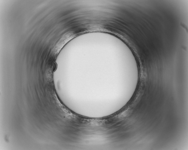 X0000103490905200810101019