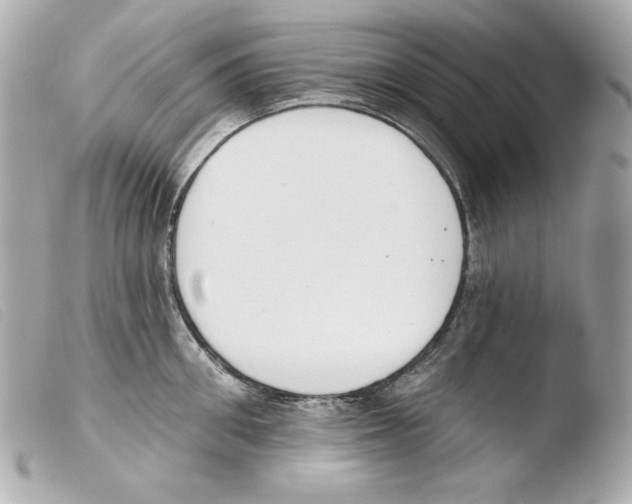 X0000103490906200810101019