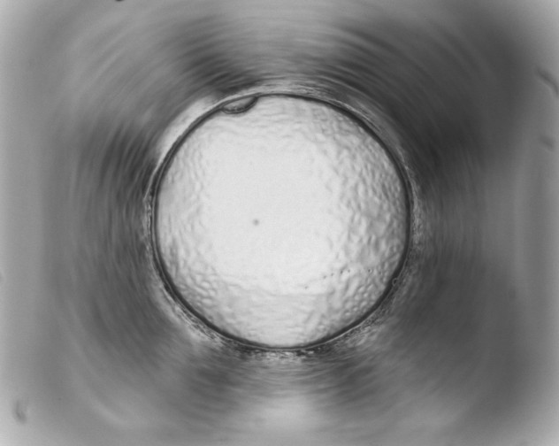 X0000103490907200810101019