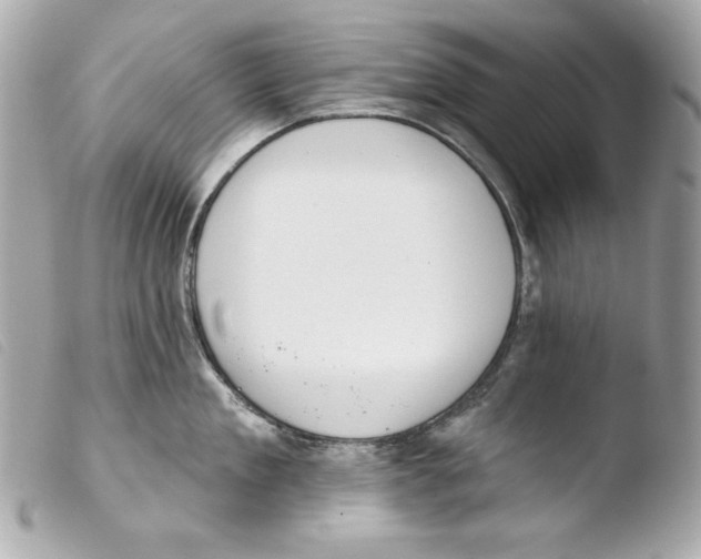 X0000103490909200810101019