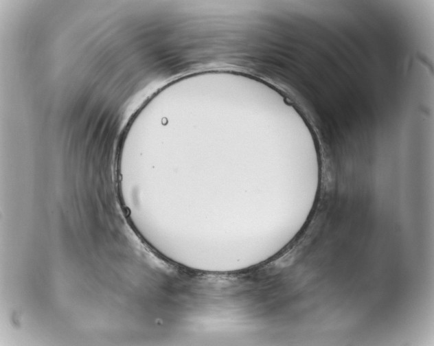 X0000103490910200810101019