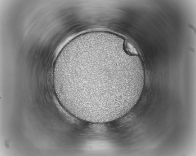 X0000103490911200810101019