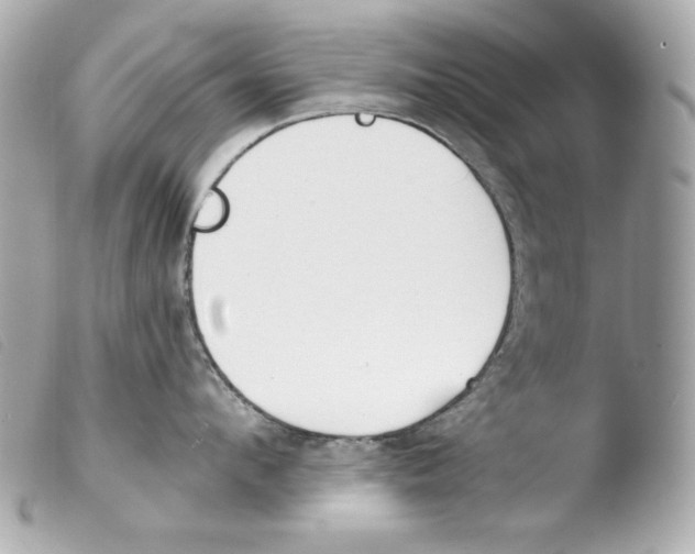 X0000103490912200810101019