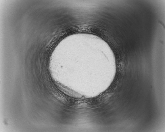 X0000103490913200810101018