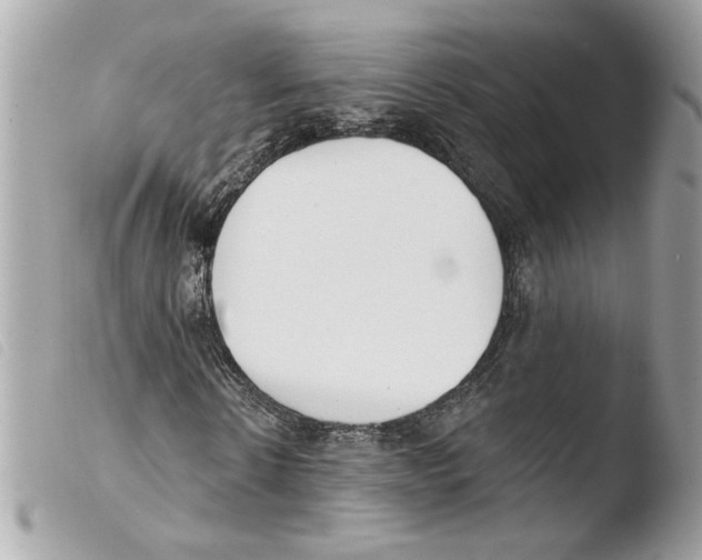 X0000103490914200810101018