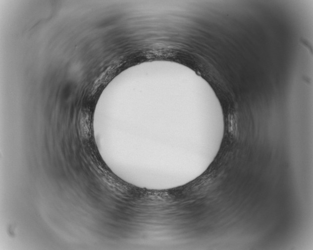 X0000103490915200810101018