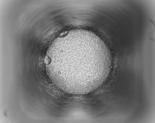 X0000103490917200810101018