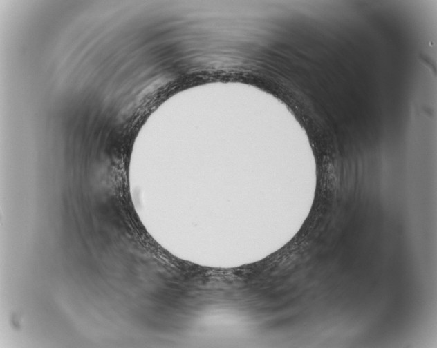 X0000103490918200810101018