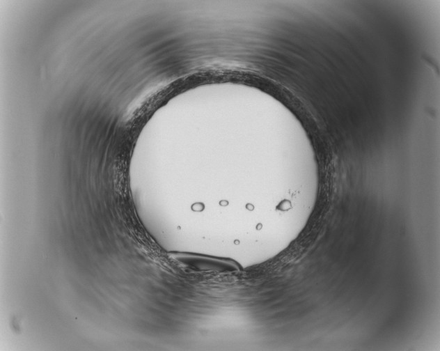 X0000103490919200810101018