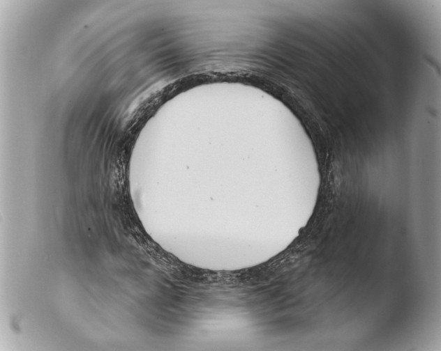 X0000103490920200810101018