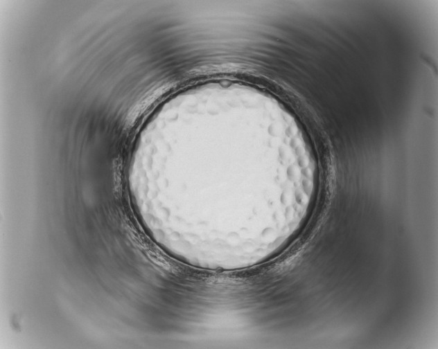 X0000103490921200810101018