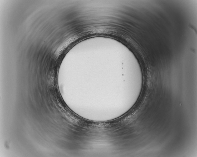 X0000103490922200810101018