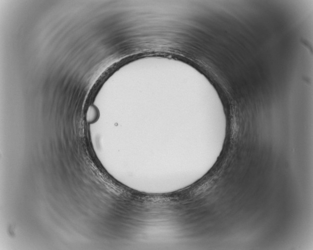 X0000103490924200810101018