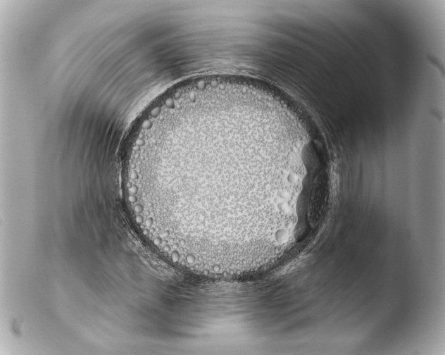 X0000103490925200810101019