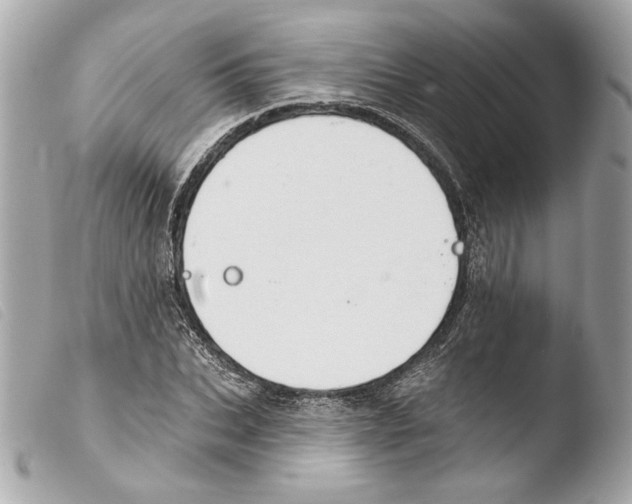X0000103490927200810101019