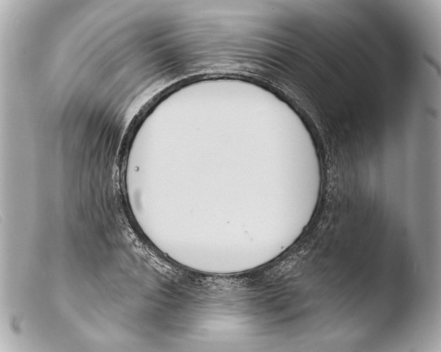 X0000103490928200810101019