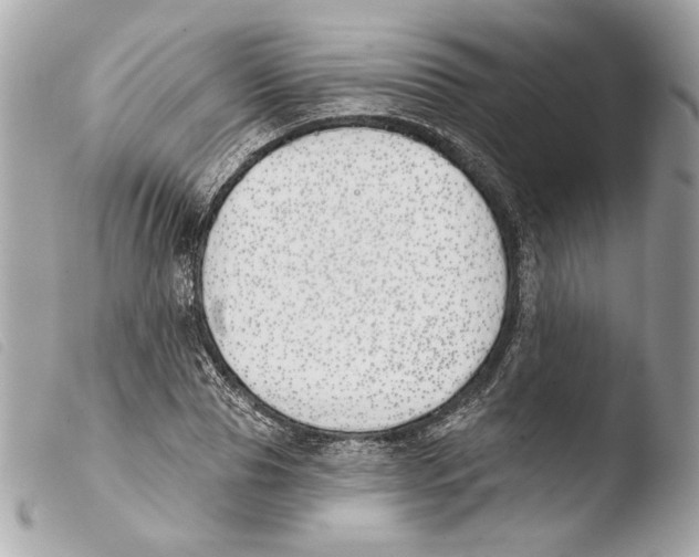 X0000103490929200810101019