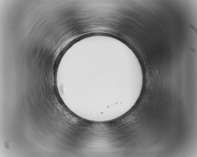 X0000103490931200810101019