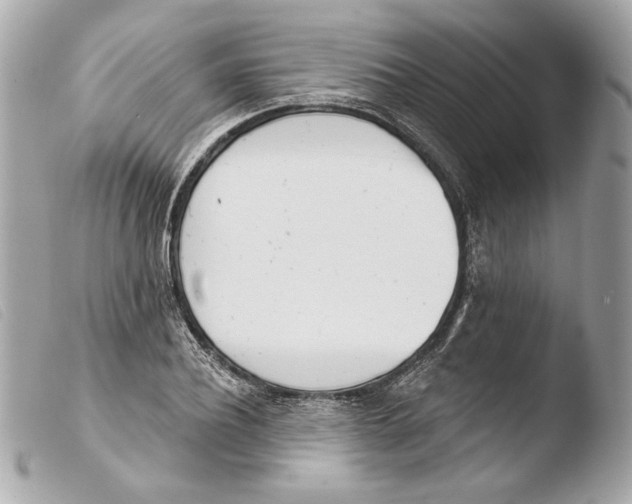 X0000103490932200810101019