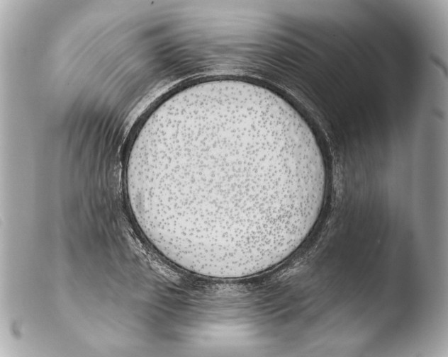 X0000103490933200810101019