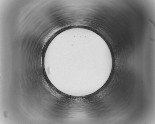 X0000103490934200810101019