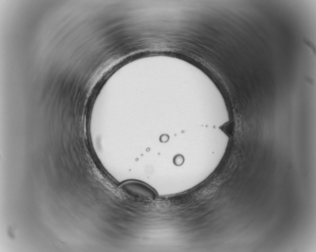 X0000103490935200810101019