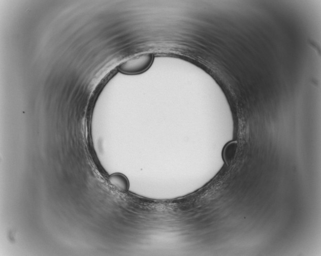 X0000103490936200810101019