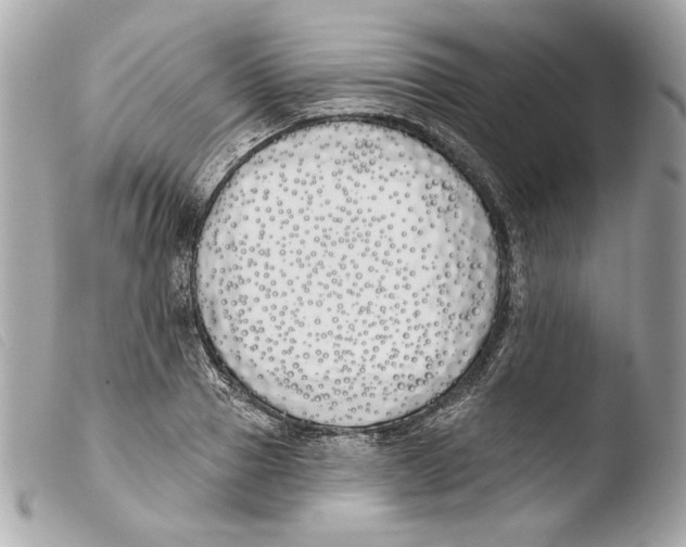 X0000103490937200810101019