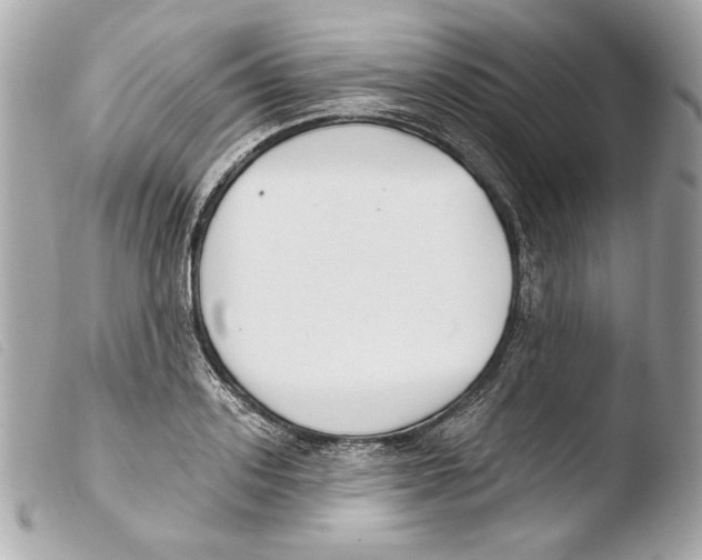 X0000103490939200810101019