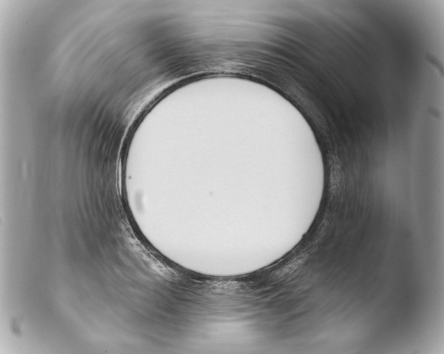 X0000103490940200810101019