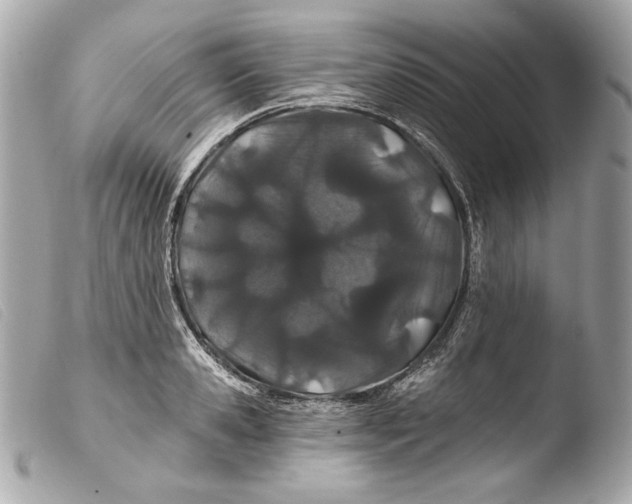 X0000103490941200810101019