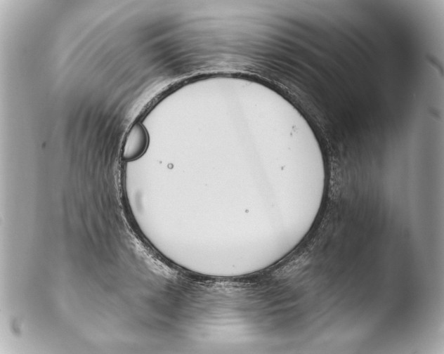 X0000103490942200810101019