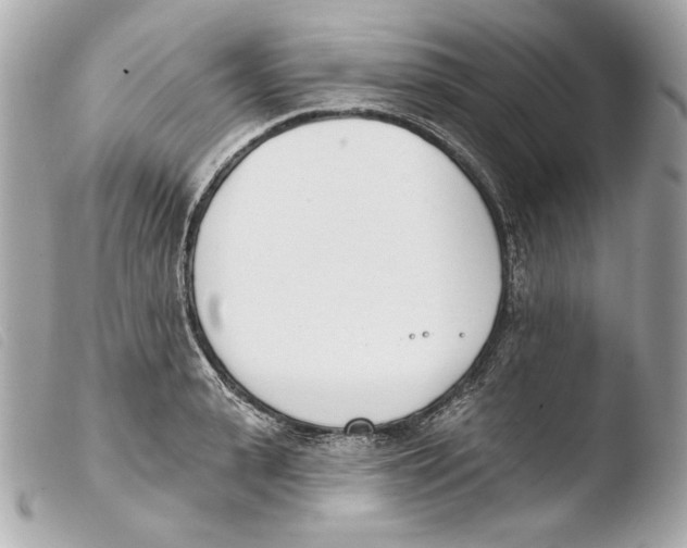 X0000103490943200810101019