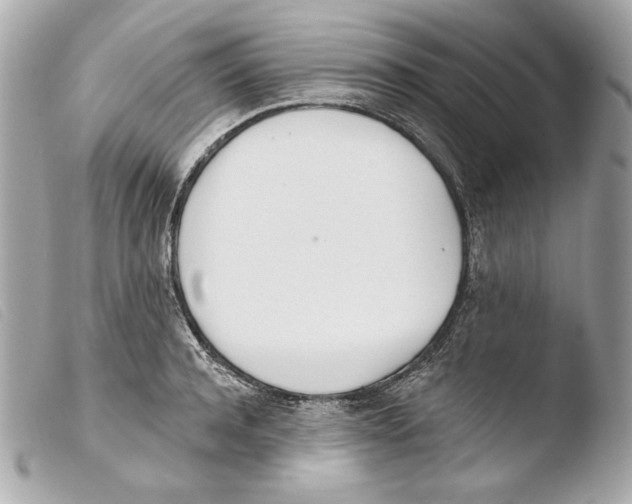 X0000103490944200810101019