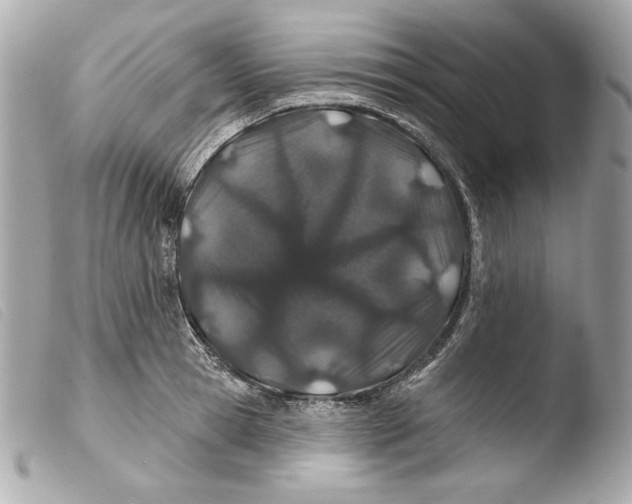 X0000103490945200810101019