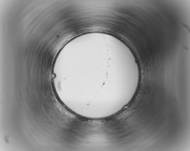 X0000103490946200810101019