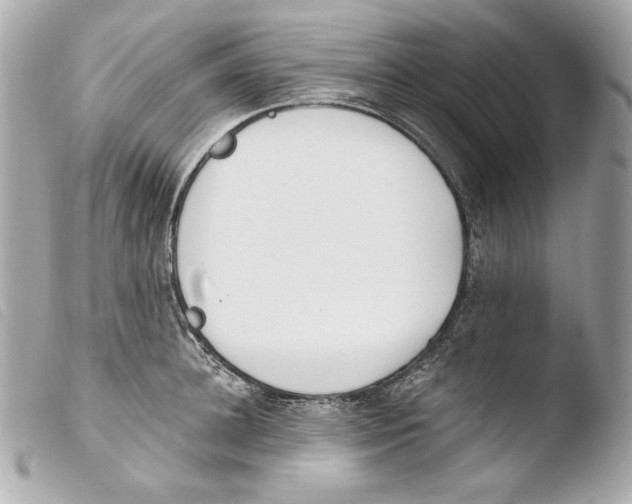 X0000103490948200810101019